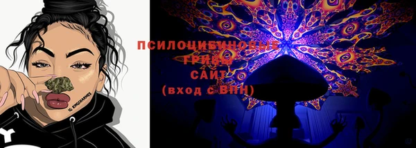 гидра Пестово