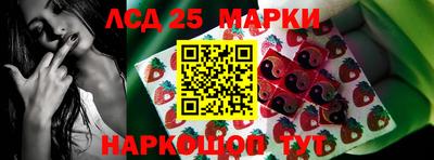 МДПВ Владикавказ