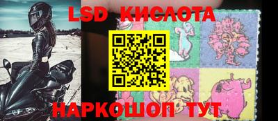 стафф Владимир